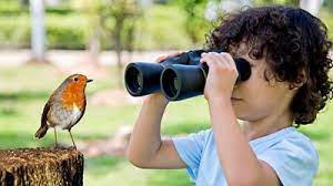Bird watching trip in the scenic hills of Chakrata