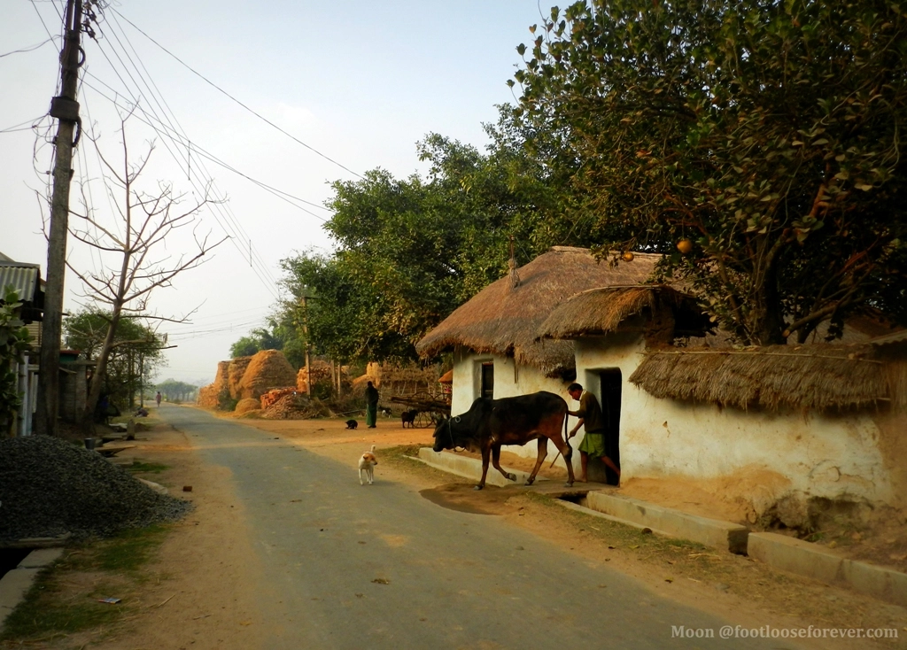 Rural Life Exploration in Telangana