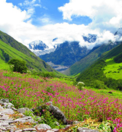 chardham yatra tour package from haridwar